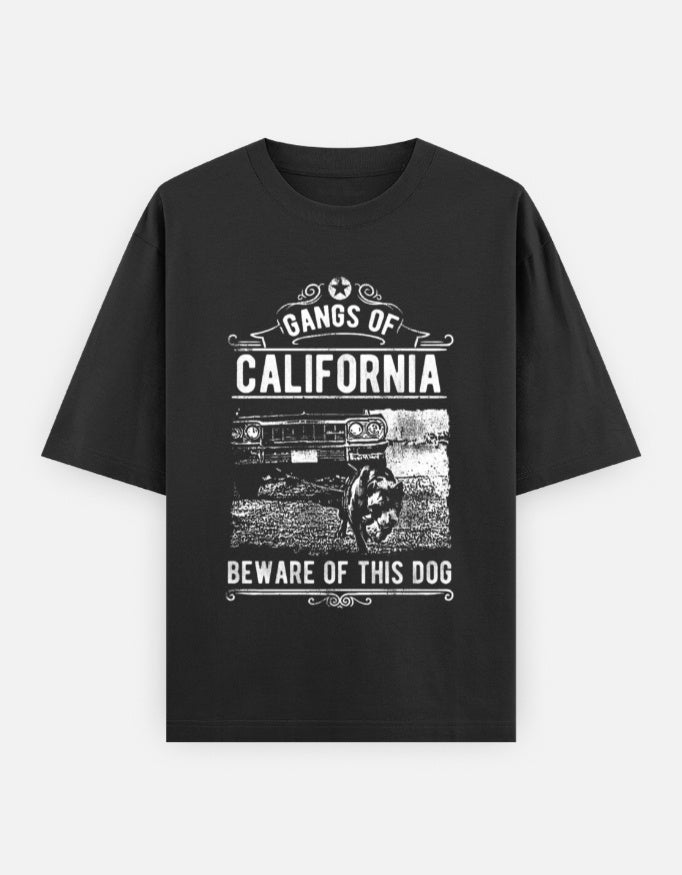 Front_1_c_2.jpg